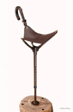 Siege Canne De 50 Cm A 70 Cm Avec Grande Assise