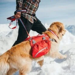 Sac à Dos Pour Chiens Baxter M Rouge Sac à Dos Chien Secours Urgence Survie -Peltor Soldes 00003 Sac a dos pour chiens Baxter M Rouge Sac a Dos Chien Secours Urgence Survie