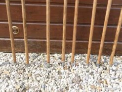 Cannes De Pirsch Brocard SERIE 1 -Peltor Soldes 00008 cannes de pirsch brocard SERIE 1