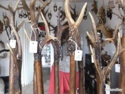 Cannes De Pirsch Brocard SERIE 1 -Peltor Soldes 00010 cannes de pirsch brocard SERIE 1