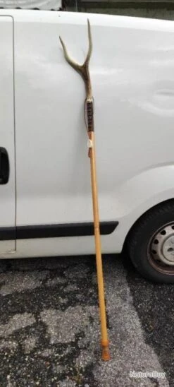 CANNE PIRSCH BOIS DE CERF SOLDE A 20% -Peltor Soldes 00013 CANNE PIRSCH BOIS DE CERF